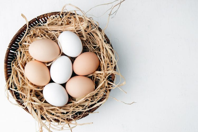 Eggcellent Nutrition Tips: Healthiest Ways To Eat Eggs